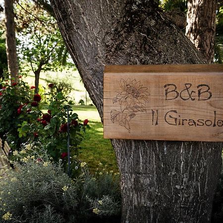 Bed and Breakfast Il Girasole Basciano Экстерьер фото