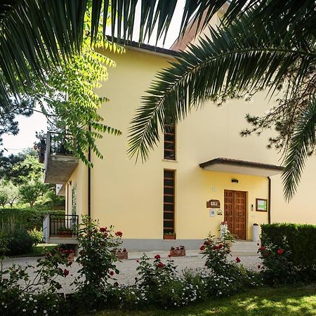 Bed and Breakfast Il Girasole Basciano Экстерьер фото