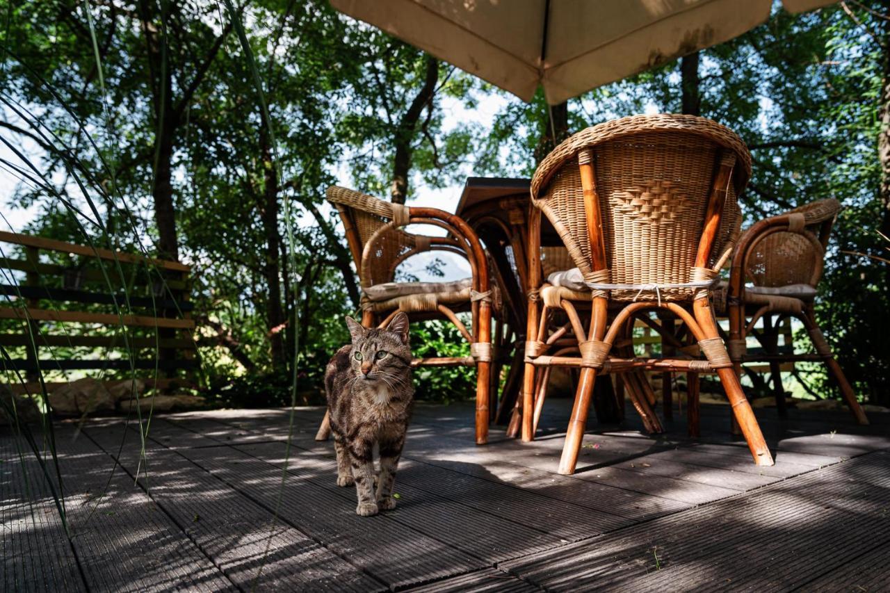 Bed and Breakfast Il Girasole Basciano Экстерьер фото