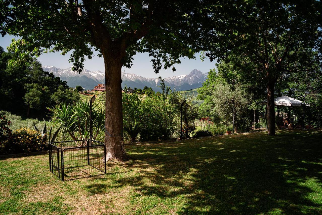 Bed and Breakfast Il Girasole Basciano Экстерьер фото