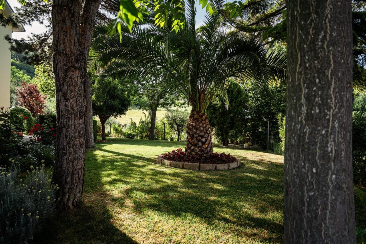 Bed and Breakfast Il Girasole Basciano Экстерьер фото