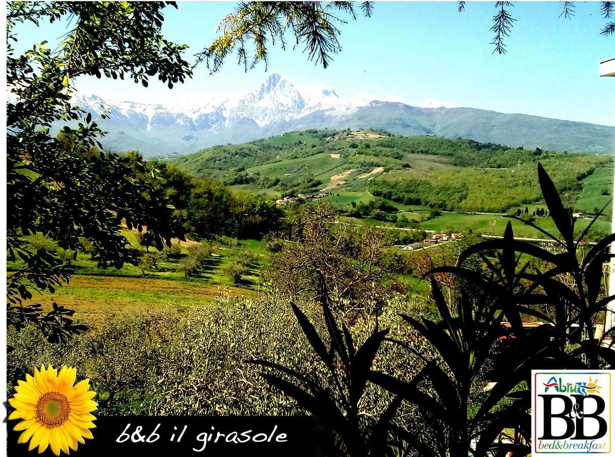 Bed and Breakfast Il Girasole Basciano Экстерьер фото